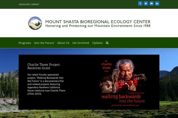 Site using Category Posts Widget plugin