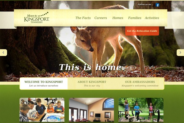 Bridge theme site design template sample