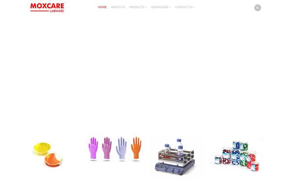 Royal Child theme site design template sample
