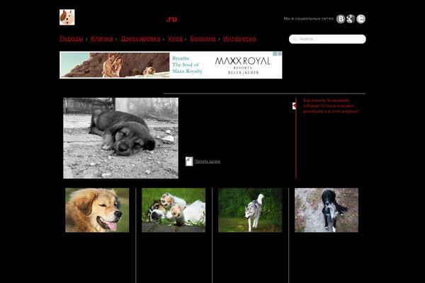 moya-sobaka.ru site used 2.0