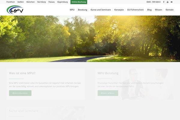 Enfold theme site design template sample