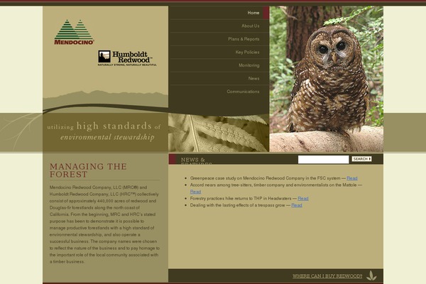 WordPress website example screenshot