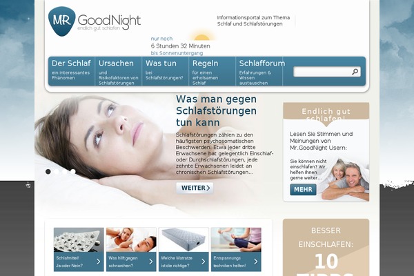 WordPress website example screenshot