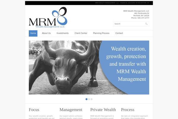 mrmconsultingservice.com site used Theme1850