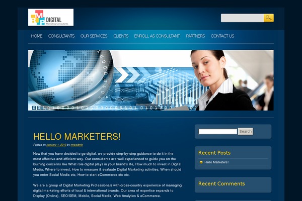 Online Marketer theme site design template sample