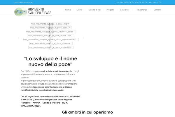 Ngo theme site design template sample