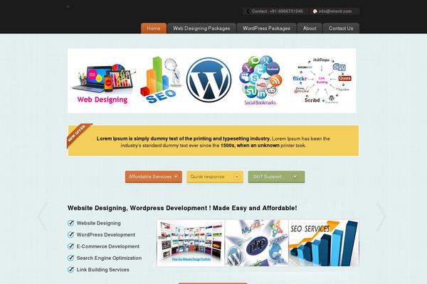 liveweb theme websites examples