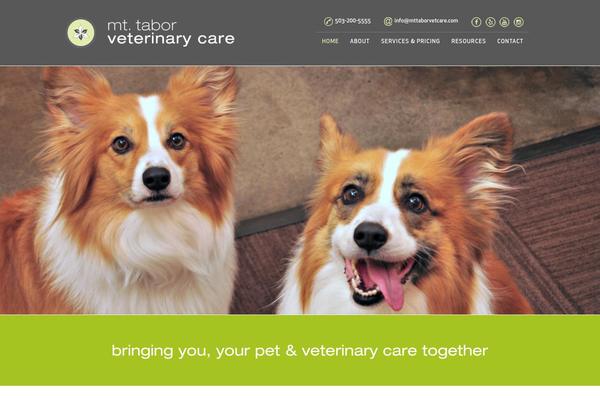 WordPress website example screenshot