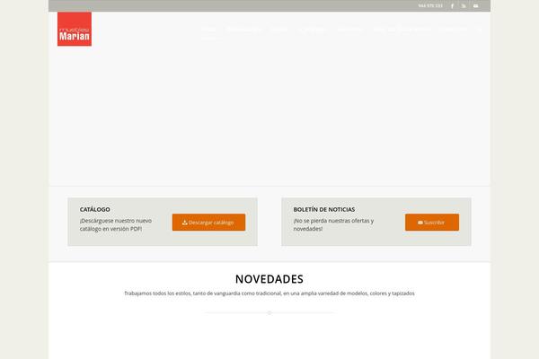 Enfold theme site design template sample