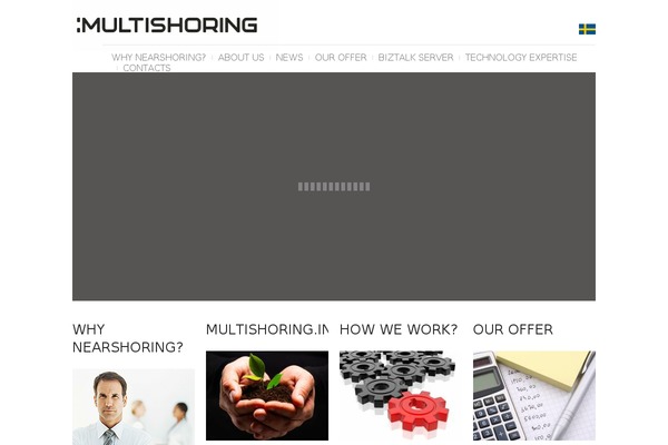 multishoring.info site used Theme1357