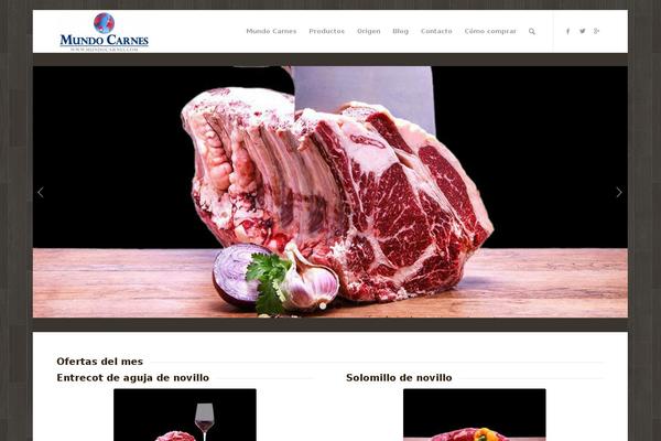 Enfold theme site design template sample
