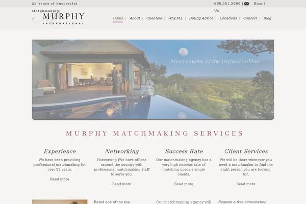 murphyinternational theme websites examples