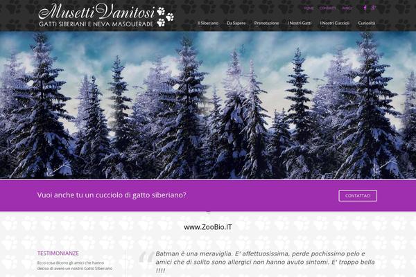 WordPress website example screenshot