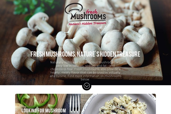 mushroomsonthemenu.com site used Porcelain