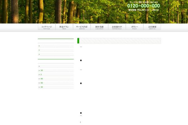 WordPress website example screenshot