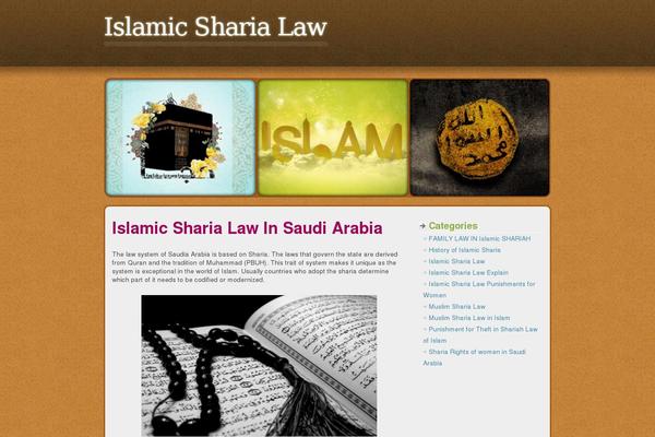brightness-of-faith theme websites examples