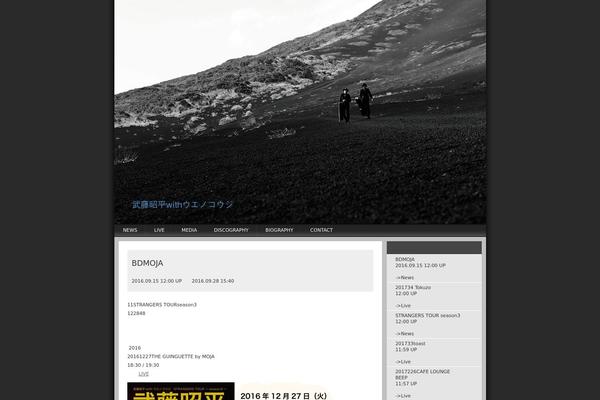 Nightlife theme site design template sample