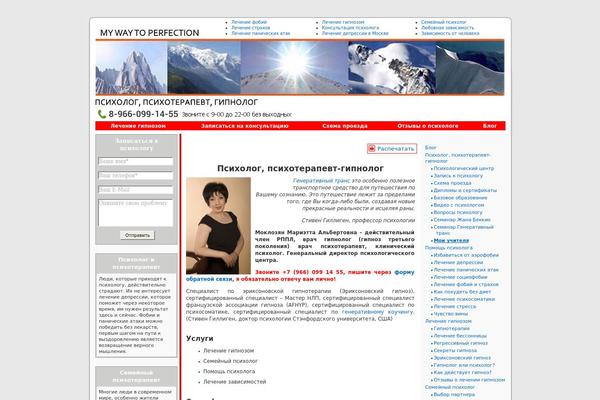 WordPress website example screenshot