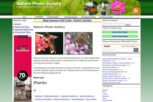 my-photo-gallery.com site used 3wide-d