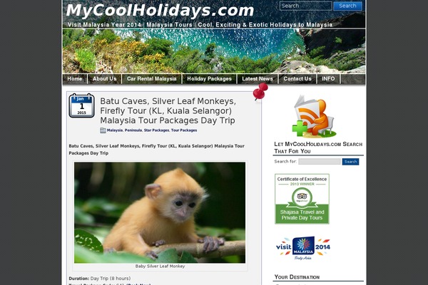 mycoolholidays.com site used Patagonia