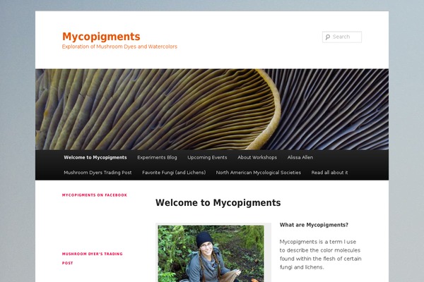 Site using Akismet plugin
