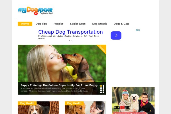 Gonzo theme site design template sample