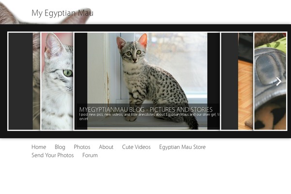 Minimatica theme site design template sample