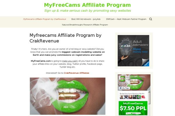 Twenty Thirteen theme site design template sample