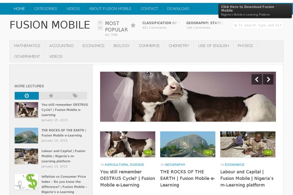 WordPress website example screenshot