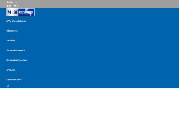 The7 theme site design template sample
