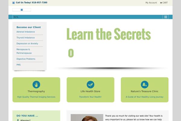 WordPress website example screenshot