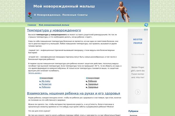 WordPress website example screenshot