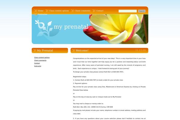 Blogging theme site design template sample