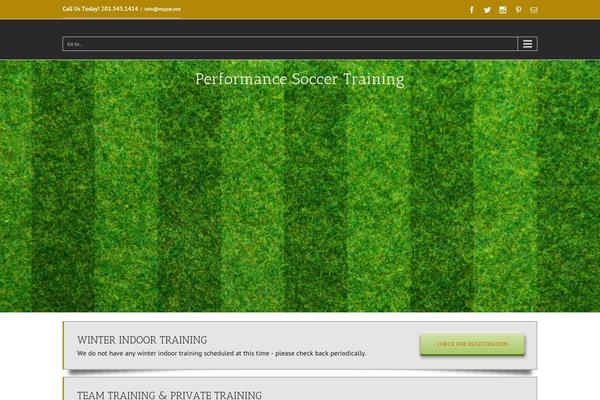 Avada theme site design template sample