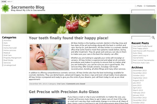 WordPress website example screenshot