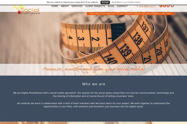 WordPress website example screenshot