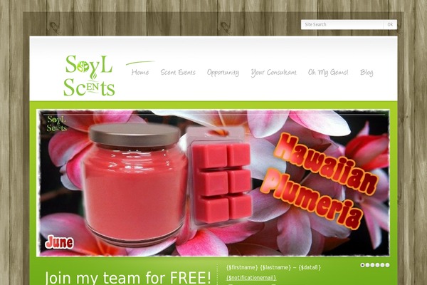 theme1324 theme websites examples