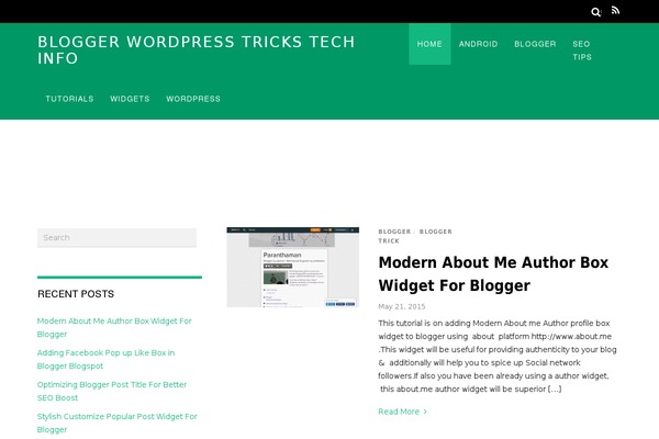 WordPress website example screenshot