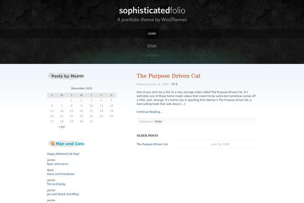 Sophisticatedfolio theme site design template sample