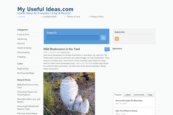 WordPress website example screenshot