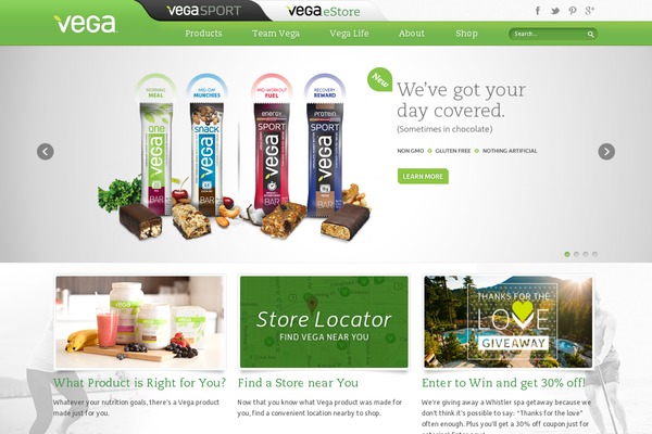 Vega website example screenshot