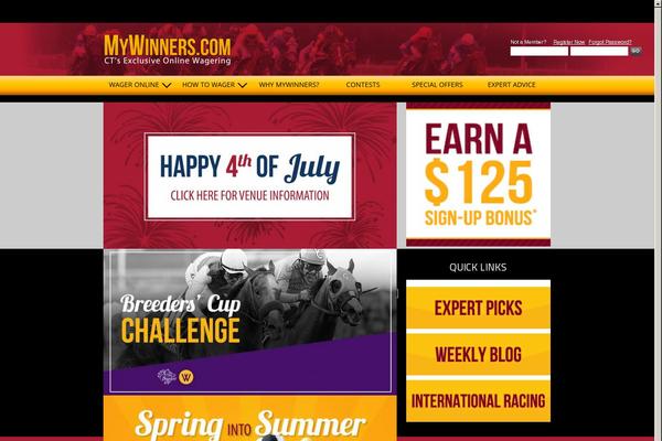 Winner theme websites examples