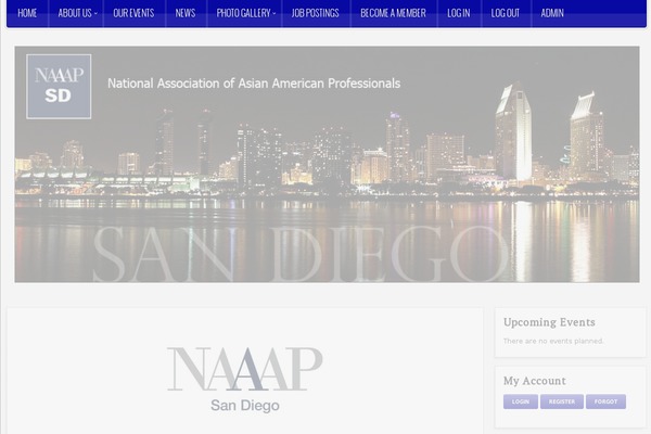 naaapsandiego.org site used Voxel