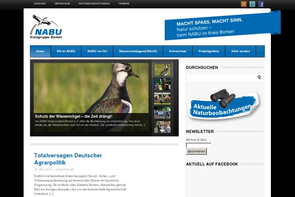 WordPress website example screenshot