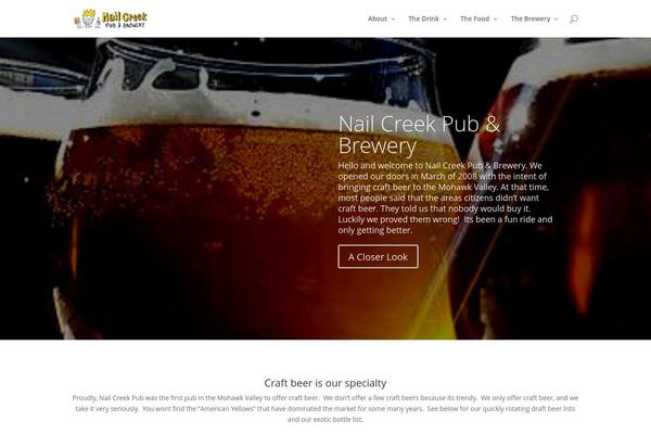 Divi theme site design template sample