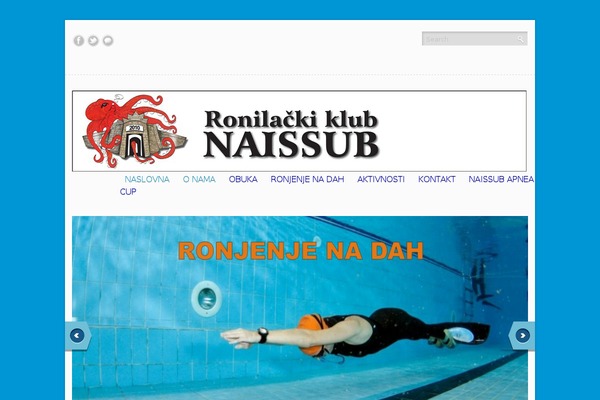 naissub.com site used Naissub
