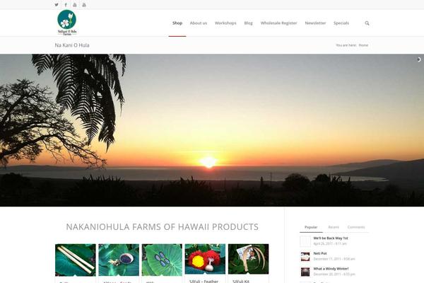 Enfold theme site design template sample