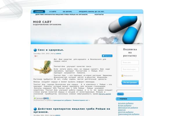 WordPress website example screenshot