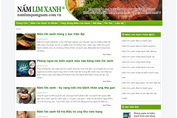 namlimquangnam.com.vn site used Namlim