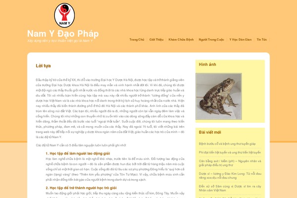 WordPress website example screenshot